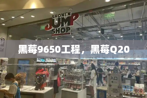 黑莓9650工程，黑莓Q20