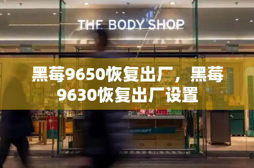 黑莓9650恢复出厂，黑莓9630恢复出厂设置-第1张图片-星选测评