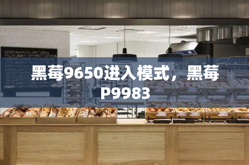 黑莓9650进入模式，黑莓P9983