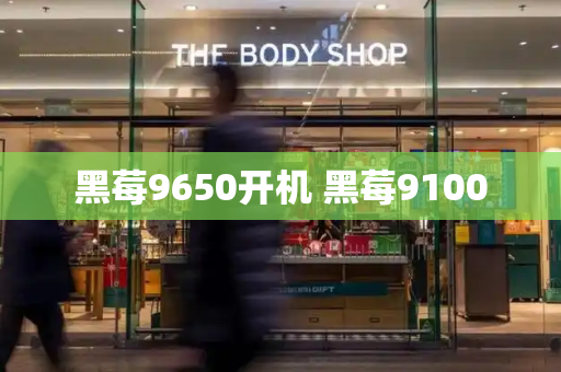 黑莓9650开机 黑莓9100-第1张图片-星选测评