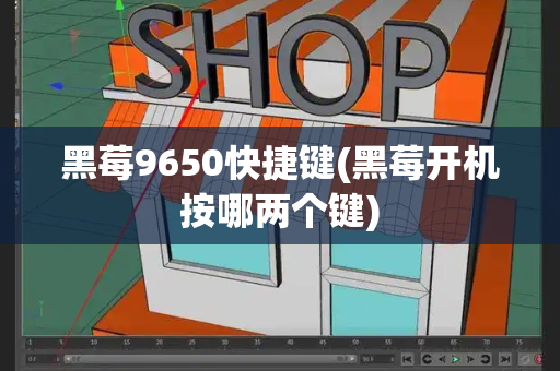 黑莓9650快捷键(黑莓开机按哪两个键)-第1张图片-星选测评