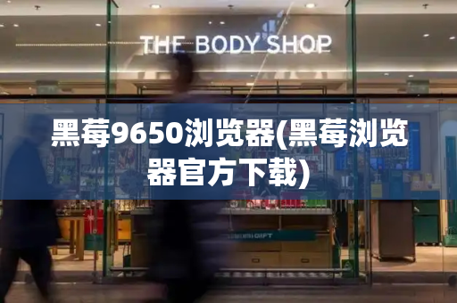 黑莓9650浏览器(黑莓浏览器官方下载)-第1张图片-星选测评