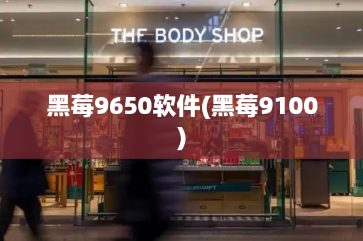 黑莓9650软件(黑莓9100)-第1张图片-星选测评