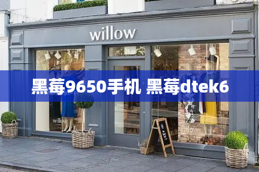 黑莓9650手机 黑莓dtek60