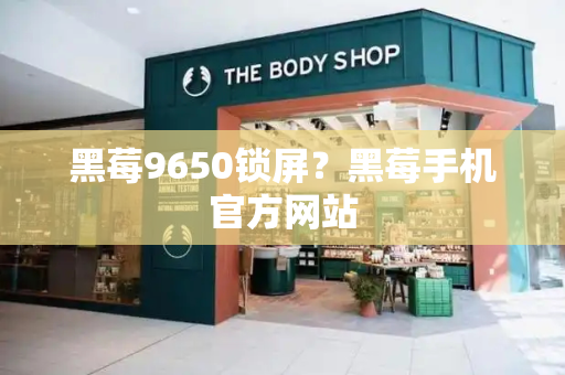 黑莓9650锁屏？黑莓手机官方网站