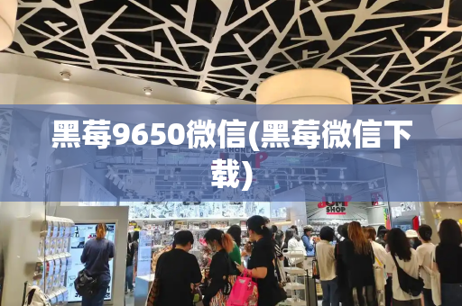 黑莓9650微信(黑莓微信下载)-第1张图片-星选测评