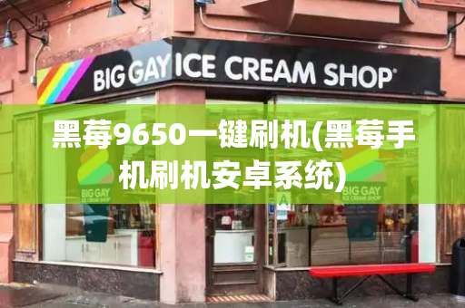 黑莓9650一键刷机(黑莓手机刷机安卓系统)