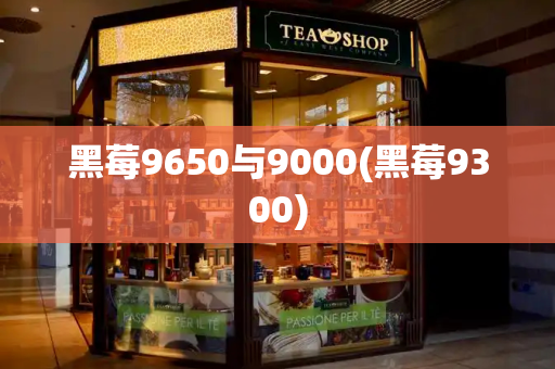 黑莓9650与9000(黑莓9300)