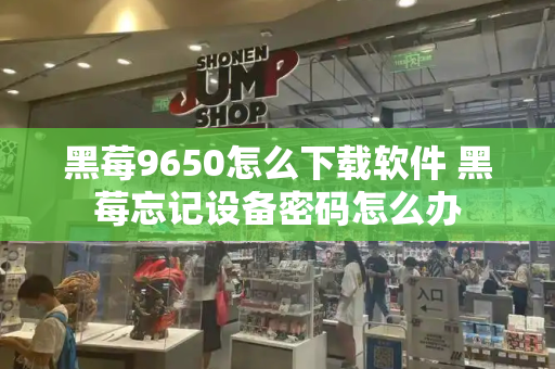 黑莓9650怎么下载软件 黑莓忘记设备密码怎么办