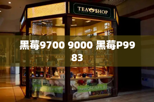 黑莓9700 9000 黑莓P9983-第1张图片-星选测评