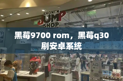 黑莓9700 rom，黑莓q30刷安卓系统-第1张图片-星选测评