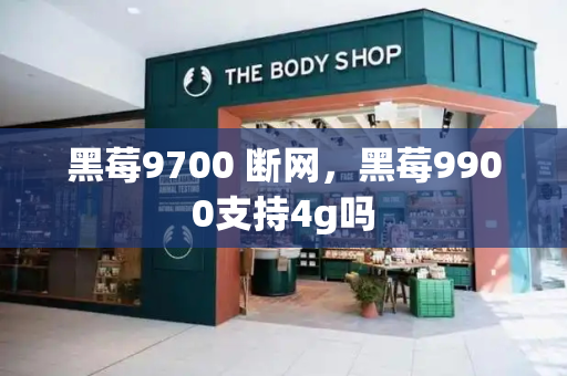 黑莓9700 断网，黑莓9900支持4g吗