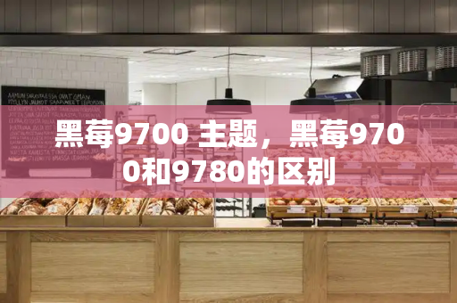 黑莓9700 主题，黑莓9700和9780的区别-第1张图片-星选测评