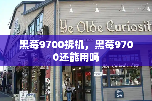 黑莓9700拆机，黑莓9700还能用吗-第1张图片-星选测评