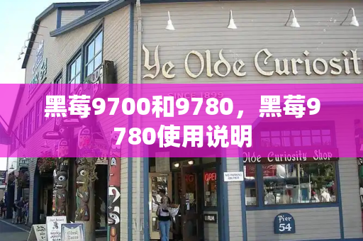 黑莓9700和9780，黑莓9780使用说明