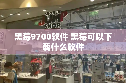 黑莓9700软件 黑莓可以下载什么软件-第1张图片-星选测评