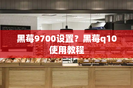 黑莓9700设置？黑莓q10使用教程