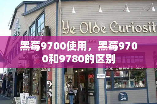 黑莓9700使用，黑莓9700和9780的区别-第1张图片-星选测评