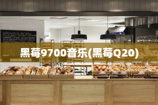 黑莓9700音乐(黑莓Q20)-第1张图片-星选测评