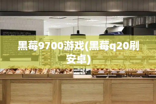 黑莓9700游戏(黑莓q20刷安卓)