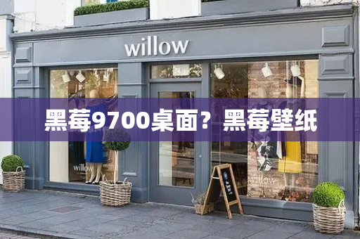 黑莓9700桌面？黑莓壁纸-第1张图片-星选测评