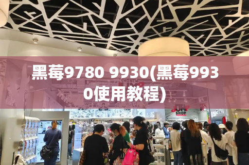 黑莓9780 9930(黑莓9930使用教程)