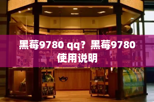 黑莓9780 qq？黑莓9780使用说明