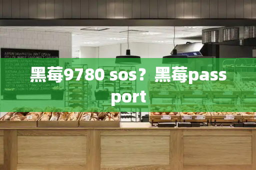 黑莓9780 sos？黑莓passport