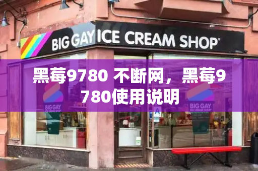 黑莓9780 不断网，黑莓9780使用说明