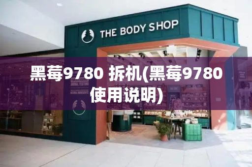 黑莓9780 拆机(黑莓9780使用说明)-第1张图片-星选测评