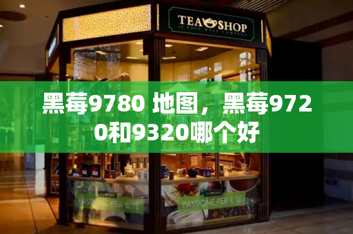 黑莓9780 地图，黑莓9720和9320哪个好-第1张图片-星选测评