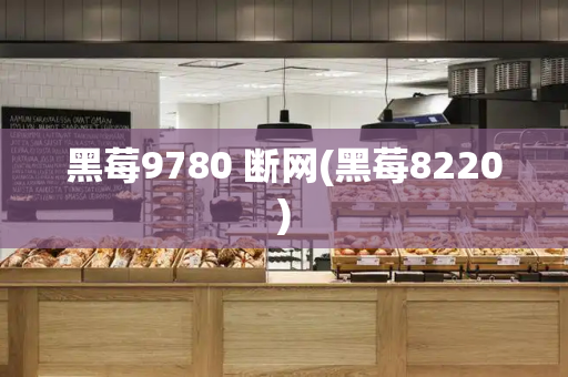 黑莓9780 断网(黑莓8220)-第1张图片-星选测评
