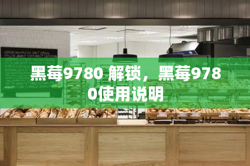 黑莓9780 解锁，黑莓9780使用说明