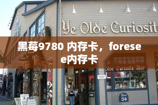 黑莓9780 内存卡，foresee内存卡-第1张图片-星选测评