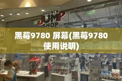 黑莓9780 屏幕(黑莓9780使用说明)