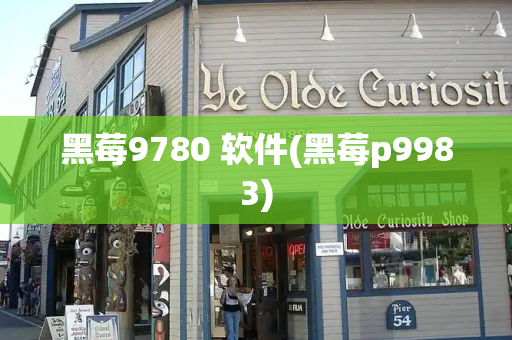 黑莓9780 软件(黑莓p9983)