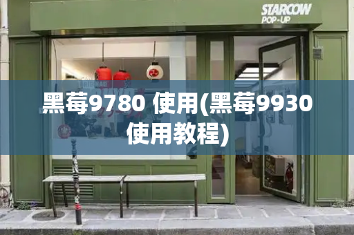 黑莓9780 使用(黑莓9930使用教程)-第1张图片-星选测评