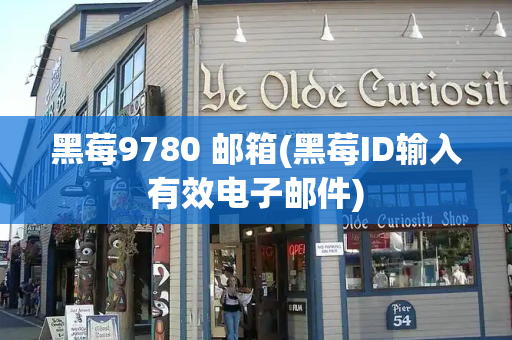 黑莓9780 邮箱(黑莓ID输入有效电子邮件)-第1张图片-星选测评