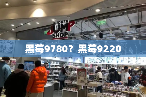 黑莓9780？黑莓9220