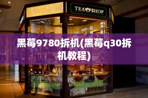 黑莓9780拆机(黑莓q30拆机教程)