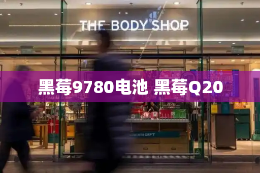 黑莓9780电池 黑莓Q20-第1张图片-星选测评