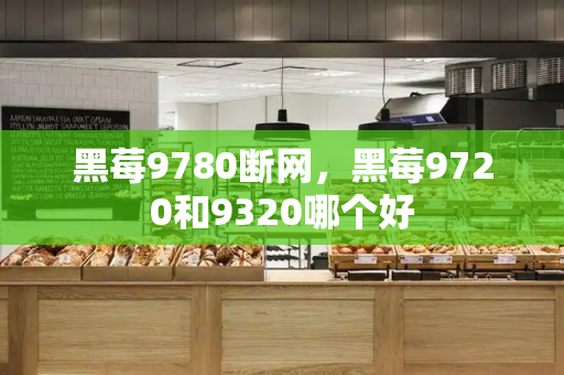 黑莓9780断网，黑莓9720和9320哪个好-第1张图片-星选测评