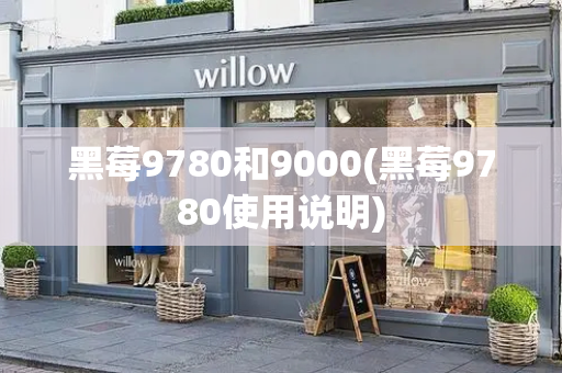 黑莓9780和9000(黑莓9780使用说明)-第1张图片-星选测评