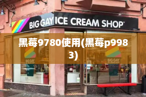 黑莓9780使用(黑莓p9983)