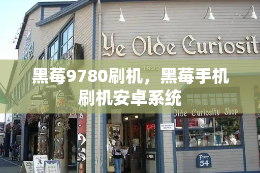 黑莓9780刷机，黑莓手机刷机安卓系统-第1张图片-星选测评