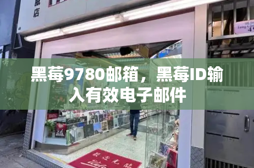 黑莓9780邮箱，黑莓ID输入有效电子邮件