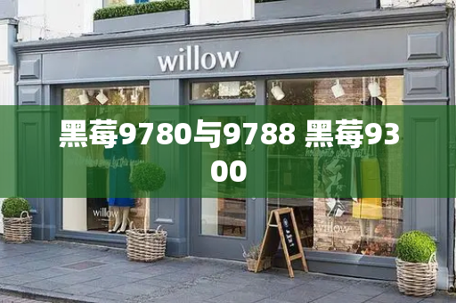 黑莓9780与9788 黑莓9300