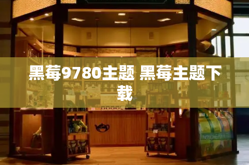 黑莓9780主题 黑莓主题下载-第1张图片-星选测评