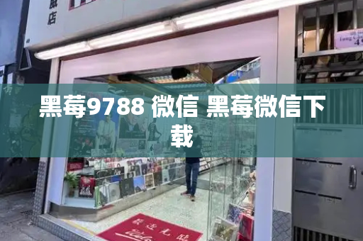 黑莓9788 微信 黑莓微信下载-第1张图片-星选测评