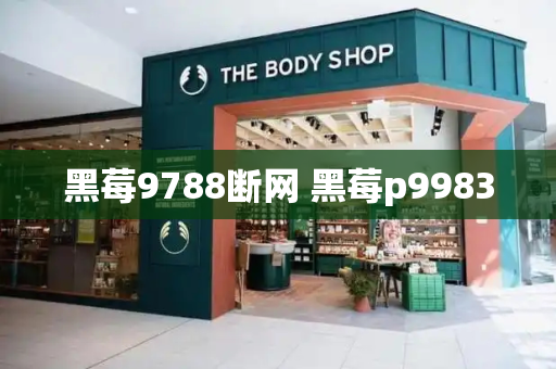 黑莓9788断网 黑莓p9983